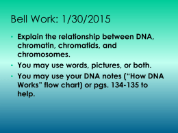 (“How DNA Works” flow chart) or pgs. 134