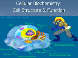 Cellular Biochemistry