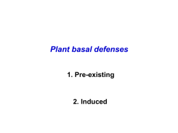Plant basal defenses 1. Pre-existing 2. Induced Pre