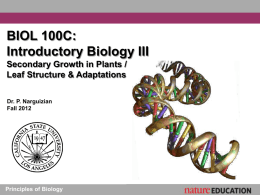 Plant Structure and Function - Cal State LA