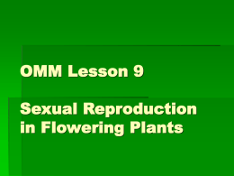 OMM Lesson 9 Sexual Reproduction in Flowering Plants