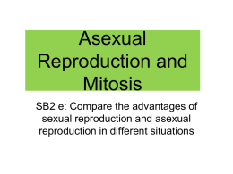 Asexual Reproduction & Mitosis Notes