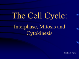 Cell Division: Mitosis and Cytokinesis