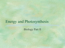 Energy and Photosynthesis