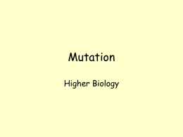Mutation - World of Teaching