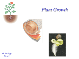 Plant Growth - mvhs
