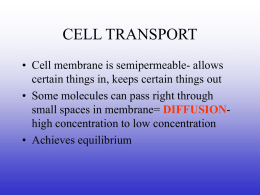 CELL TRANSPORT