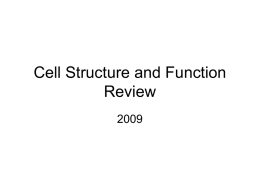 Clicker Review on Cells