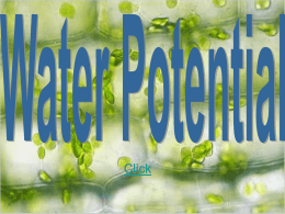 Water Potential - mrs. bulalang