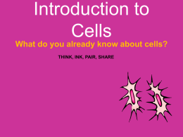 1_Introduction to Cells