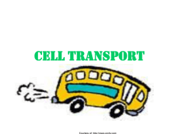Cell Transport Power point