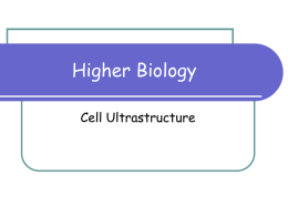 Cell Ultrastructure