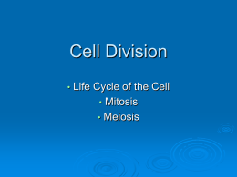 Cell Division - GMCbiology