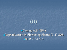 Cloning 6.9 Plants 7.3