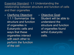 1.1 Understanding the relationship between structure and function of