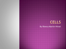 Cells - biologybi