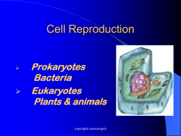 Cell Reproduction - Biology Junction