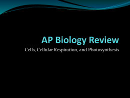 AP Bio Review - Cells, CR, and Photo Jeopardy