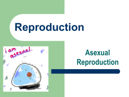Asexual Reproduction - Haiku Learning : Login