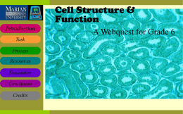 cells webquest
