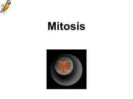 Mitosis - HRSBSTAFF Home Page