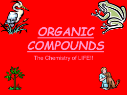 carbs organic compounds