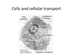 How does the cell work?