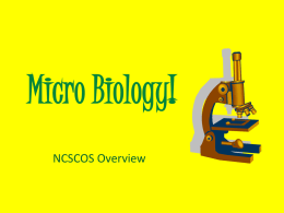 Micro Biology! - Duplin County Schools
