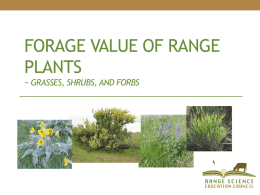 Forage Values of Range Plantsx