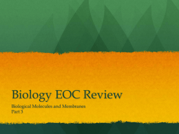 Part 3: EOC Review PowerPoint