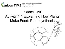Plants Unit Activity 3.2 Explaining Plants in the Light and Dark