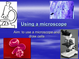 Using a microscope - Science-Wiki