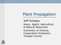 Plant Propagation - Cooperative Extension