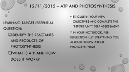 12/11/2015 * ATP and Photosynthesis