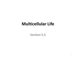Section 5.5: Multicellular Life
