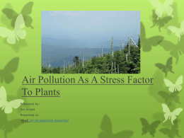 Air Pollution As A Stress Factor To Plants