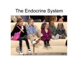 The Endocrine System - Greer Middle College Charter