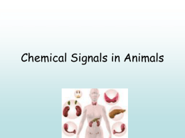 Chemical Signaling in Animals
