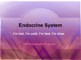 Endocrine System - faculty at Chemeketa