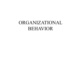 What is Organisational Behaviour