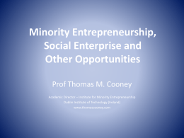 Minority Entrepreneurship, Social Enterprise and Other Opportunities
