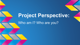 Project Perspective: