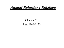 Animal Behavior : Ethology