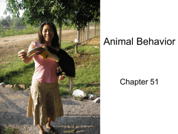 Animal Behavior - Foothill Technology High School