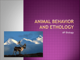 Animal Behavior and Ethology