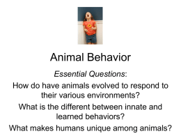Animal_Behavior