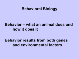 Behavioral Biology PPT