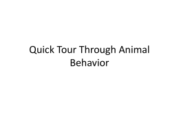 Quick Tour Through Animal Behavior