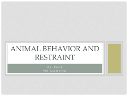 Animal Behavior and Restraint