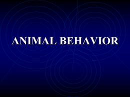 PowerPoint Presentation - ANIMAL BEHAVIOR